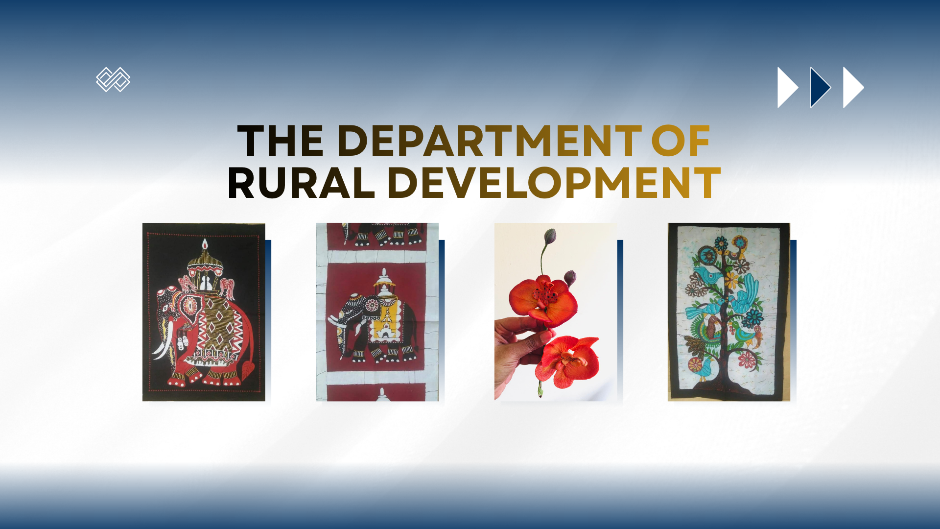 අපි වෘත්තීයමය