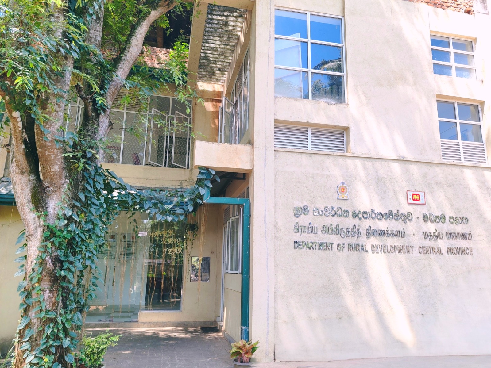 අපි වෘත්තීයමය