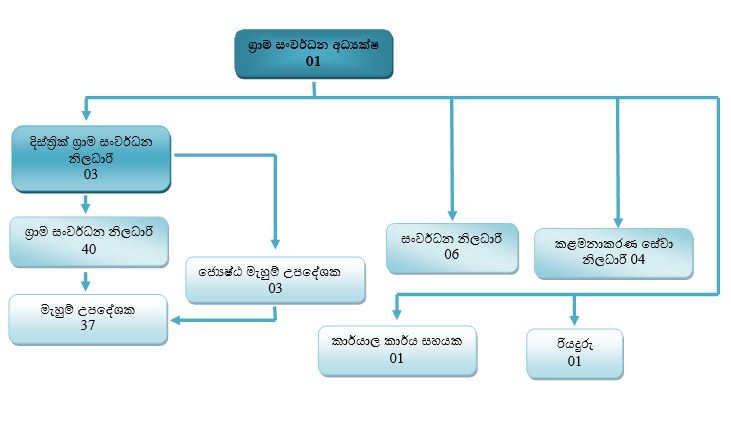 Organizational Structure
